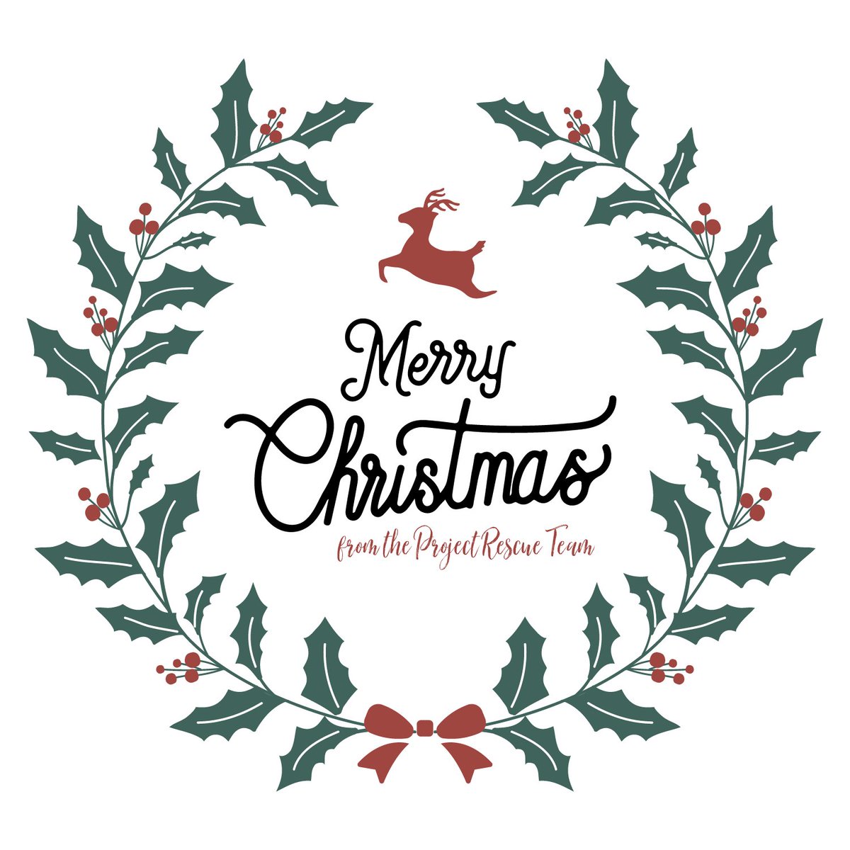 ProjRescue's tweet photo. Merry Christmas from the Project Rescue Team! We pray you and your family are blessed on such a special day as we remember the ultimate gift we have been given! https://t.co/hNvRRQ8rQk