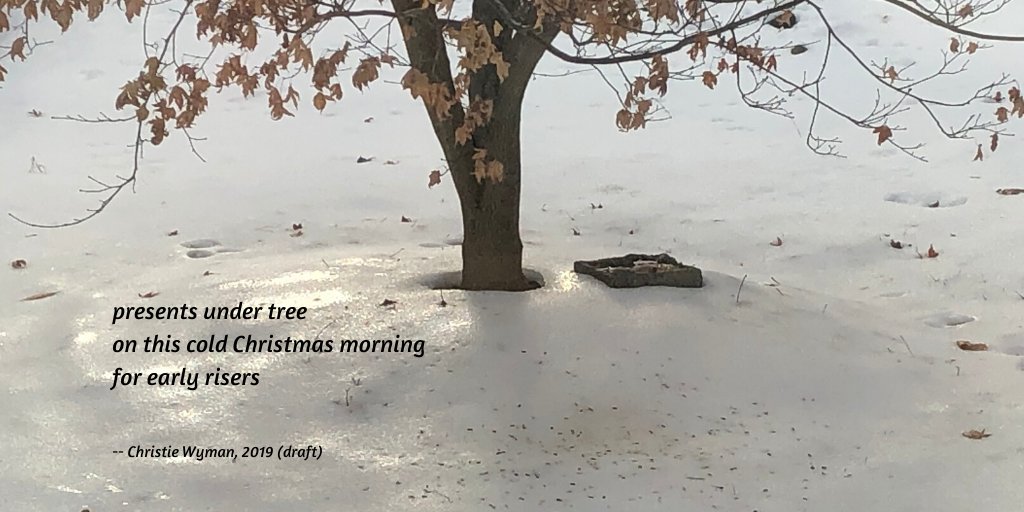 WymansWonders's tweet photo. #natember #haikuforhealing #shahai
@flynn_catherine
@heidimordhorst
@JoneMac53
@MaryLeeHahn
@LBaie
@mz_lat https://t.co/F7wL2hKLCN