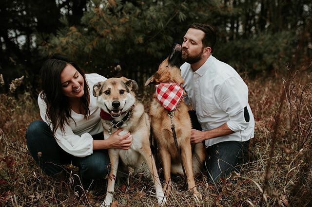 BetsyJoye's tweet photo. Merry Christmas from our perfectly-imperfect little family. 🎄 https://t.co/k6nhKuvRaU https://t.co/9PZWhl4wYV