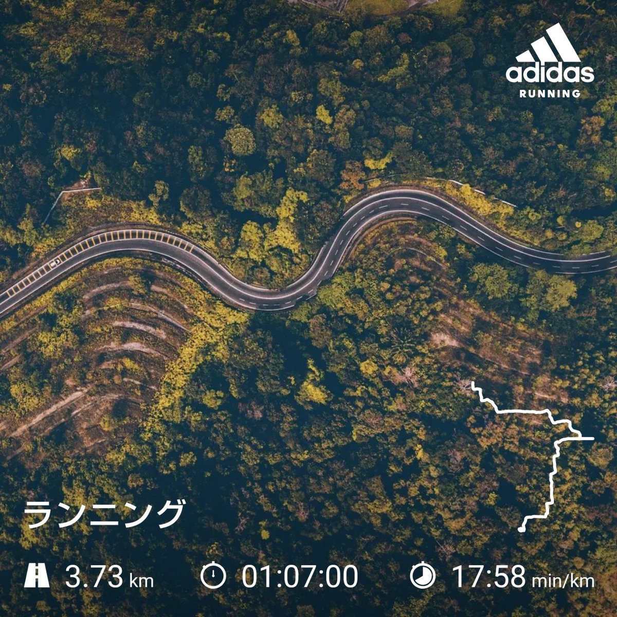 naoki_okita1013's tweet photo. 今日のトレーニング。
#running #Rantastic #adidasrunning #ランニング #ランタスティクス #アディダスランニング #さいたま市 https://t.co/wjlVCwbbDX