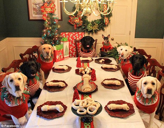 WoofRight's tweet photo. Merry Christmas!

#DogRightChristmas #ArooArooAroo #SantyPawsHasArrived #ChristmasDoggos #TheForeverNiceList https://t.co/ca3FaR0cHg