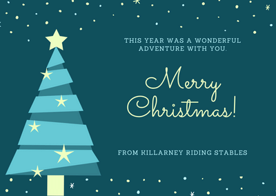 killarneystable's tweet image. All of us at Killarney Riding Stables join in saying "thank you" and wishing you a happy christmas and prosperous new year! 
-
-
-
#Happychristmas #Killarneyridingstables #Horses #Killarneynationalpark #Kerry #Reeksdistrict #RingofKerrytrailride #Tour #HorseridinginIreland