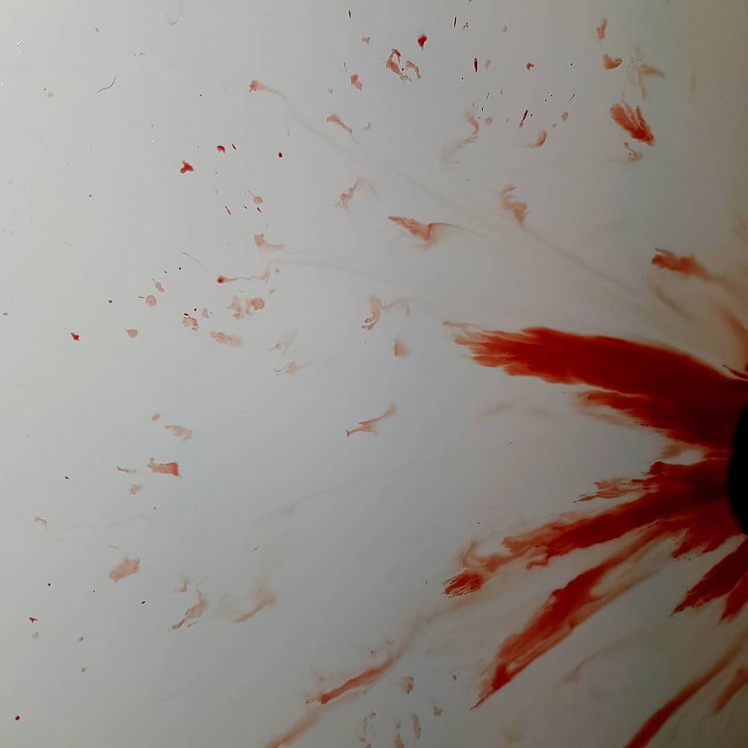 ForWeHumans tweet picture