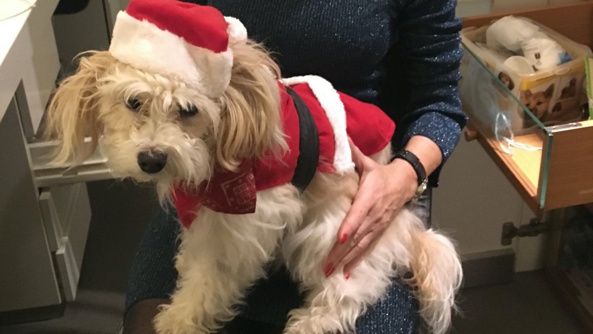 Annemieke Deveer tweet media