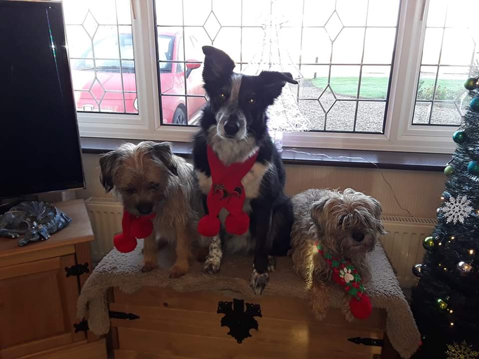 Mewwy Kwissmuss tu awl owa pals #BTPosse wiv lors of luff fowr a nommy day SonnyBT MillyBC and LucylooBT xxxx ps we still got parsiosctu open!