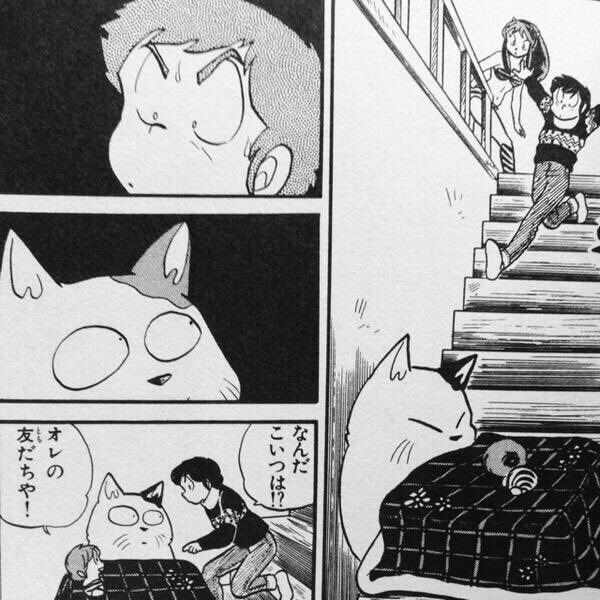 えりこ A Twitter 今の家 コタツが無いのだけがこの季節寂しい やっぱり猫をコタツに仕込みたいじゃないですか ねこタツ やっぱりねこタツ えりこ A Twitter 今の家 コタツが無いのだけがこの季節寂しい やっぱり猫をコタツに仕込みたいじゃないですか ねこタツ やっぱりねこタツ