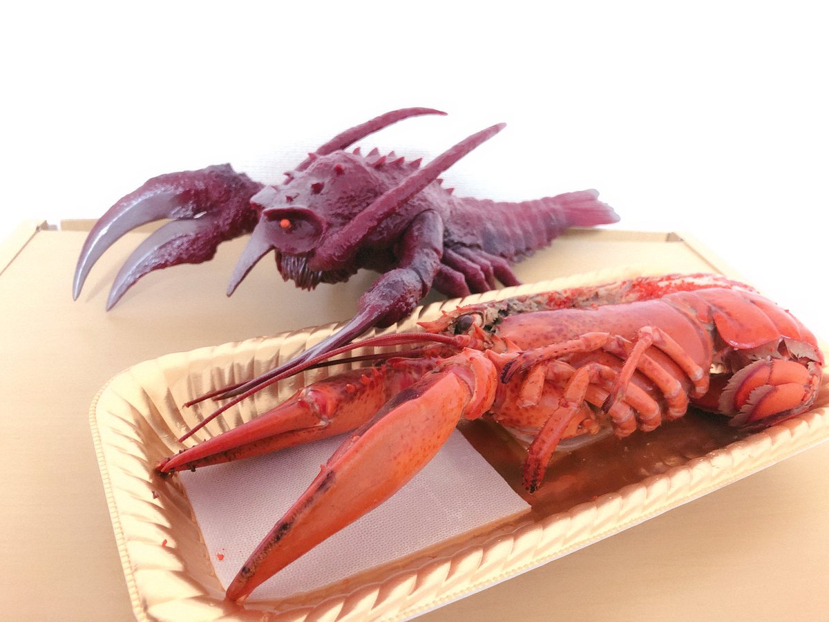 Twoucan エビラ の注目ツイート モデル