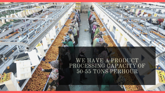 AkpaTurkey's tweet photo. We are proud of our advanced technologies and facilities which we grew up till 2020 and we will continue to make efforts to remain one of the best🥇 

#akas #akpa #turkishexporter #fruitsandveggies https://t.co/hEZHrdh5lj