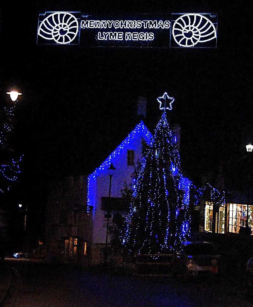 Merry Christmas from Lyme Bay Holidays🎅🏻🎄 

#christmas #festive #christmasday