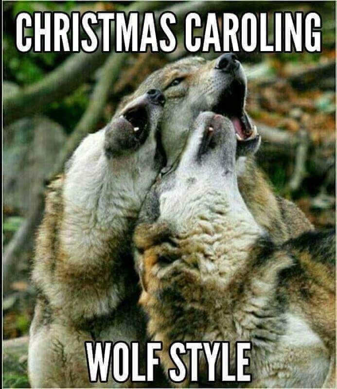 SAikateriniS's tweet photo. Frohe Weihnachten euch allen ❤️🎄🎁🎉 https://t.co/be47CmMbwo