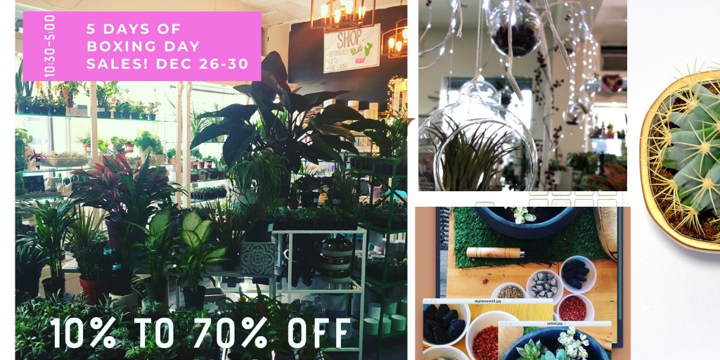 Tiny Greens Plant Shop (@tinygreens) on Twitter photo Looking for a holiday experience,visit <a href="/ptbochamber/">PKChamber</a> retail excellence award winner @downtownPtbo for shopping, planting experience and smoothie, coffee and juice bar! #ptbo <a href="/TheMarketHall/">Market Hall</a> @pktourism <a href="/kawarthaNOW/">kawarthaNOW.com</a> Looking for a holiday experience,visit <a href="/ptbochamber/">PKChamber</a> retail excellence award winner @downtownPtbo for shopping, planting experience and smoothie, coffee and juice bar! #ptbo <a href="/TheMarketHall/">Market Hall</a> @pktourism <a href="/kawarthaNOW/">kawarthaNOW.com</a>