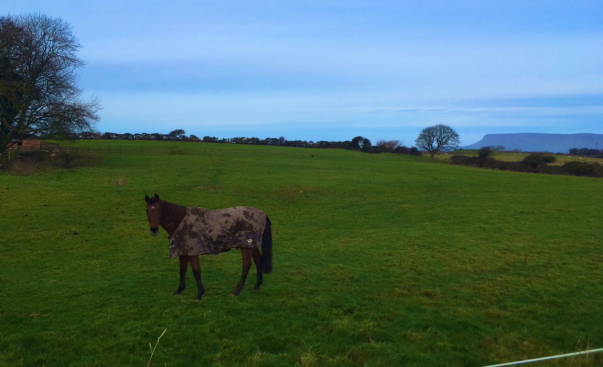 louiseheraghty's tweet photo. Happy Christmas from Sligo #sligo #benbulben #knocknarae #runmass #brooksrunning @BrooksrunningIE @brooksrunning https://t.co/lBFADi59ss