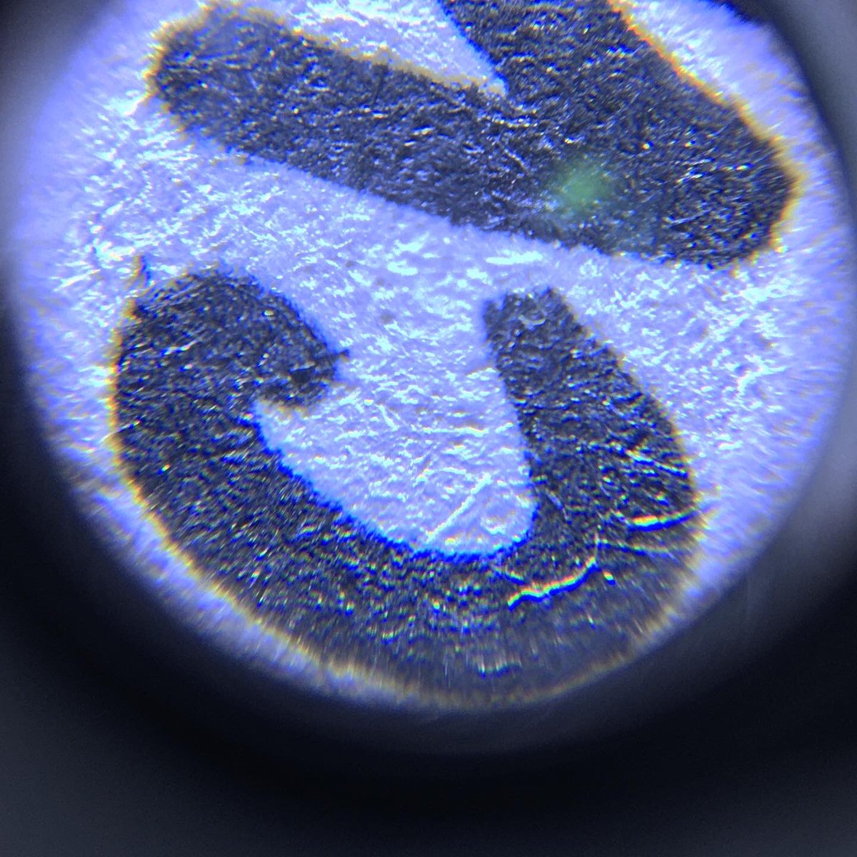 hamlettcae's tweet photo. First material of Christmas - paper #12MaterialsofChristmas #materialsscience https://t.co/Q2ZrvoyWjg