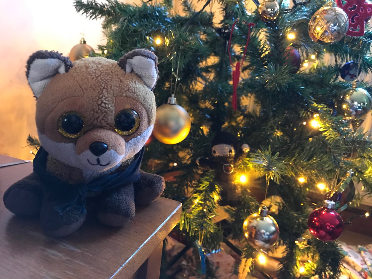 BasTheFox's tweet photo. Merry Christmas from me and #TinySab Sam 🎄 https://t.co/LPVFWoSlW4