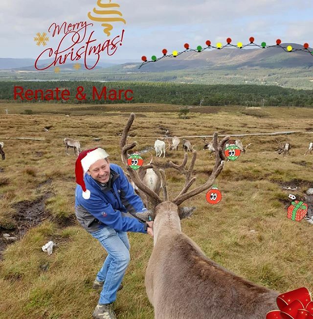 MarcvanHedel's tweet photo. 🎄🎅🦌 https://t.co/a9YjhIKKOV https://t.co/xO8MeHnW3a