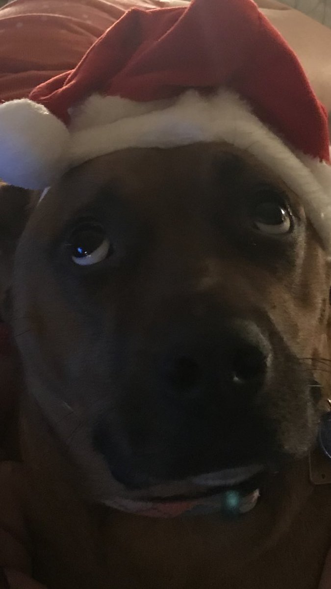 Edwebster13's tweet image. Merry Christmas from Flash