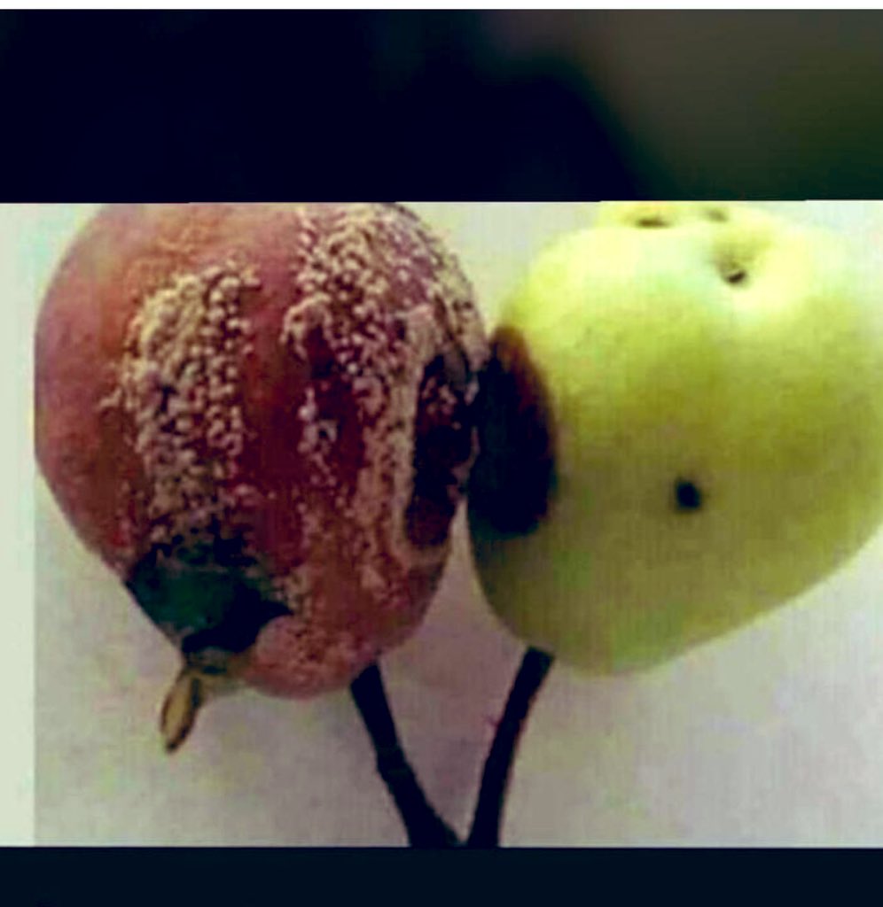 İyi olmak yetmez, kötüden de uzak durmak gerekir (Anonim)

Kötü, duygudan, kötü düşünceden... Kötü düşünenden, kötü konuşandan.