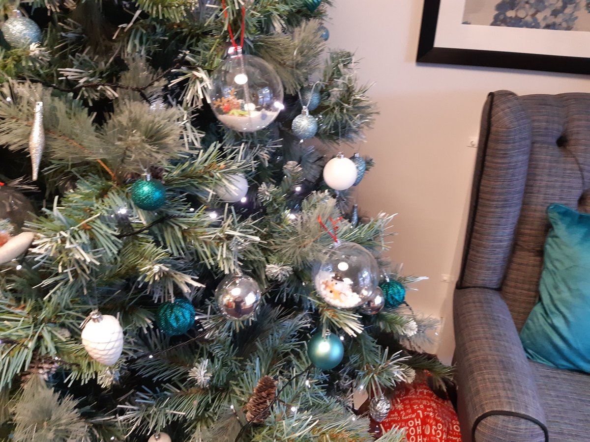 6thFulwood's tweet photo. An elf delivered Christmas baubles made by Beavers to Sherwood Lodge care home this morning ๐They are on the tree for everyone to enjoy ๐
Well done Beavers! Merry Christmas to all the residents, staff and volunteers at Sherwood Lodge ๐
#kindandhelpful #scouts @BarchesterCare https://t.co/zwMHiuLzzT