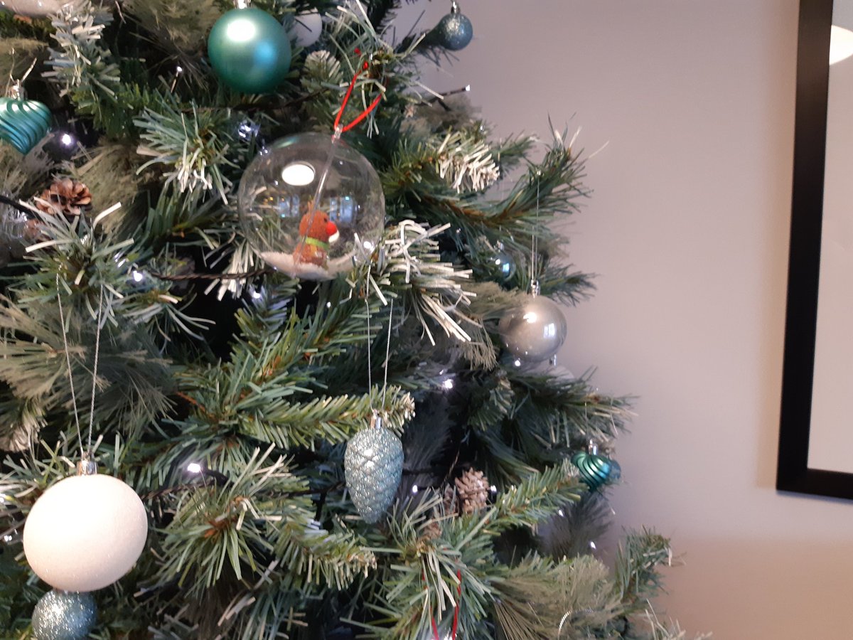 6thFulwood's tweet photo. An elf delivered Christmas baubles made by Beavers to Sherwood Lodge care home this morning ๐They are on the tree for everyone to enjoy ๐
Well done Beavers! Merry Christmas to all the residents, staff and volunteers at Sherwood Lodge ๐
#kindandhelpful #scouts @BarchesterCare https://t.co/zwMHiuLzzT
