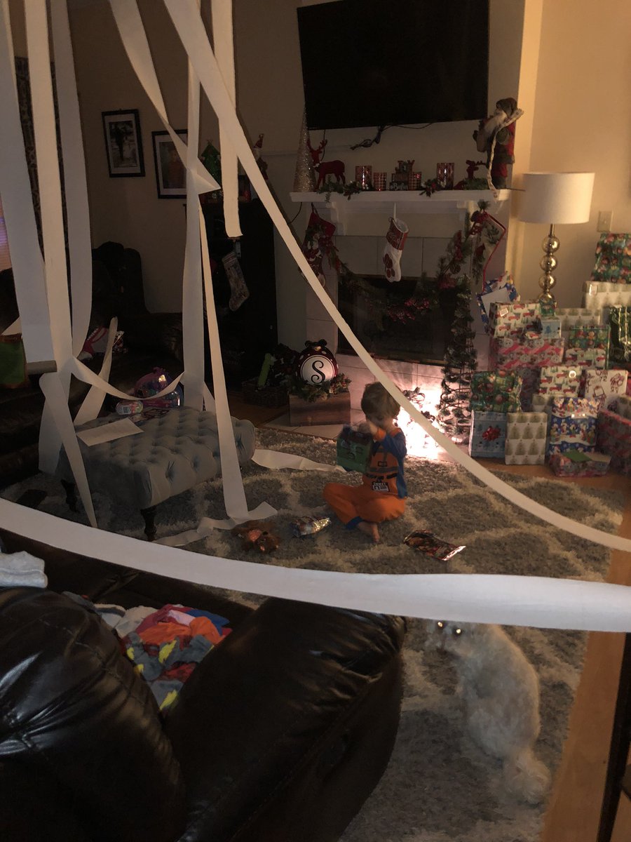 MacStoreyMusic's tweet photo. @richardmarx Tell me about it! Those little bastards rolled our living room! :) https://t.co/Ix7VlIPF22