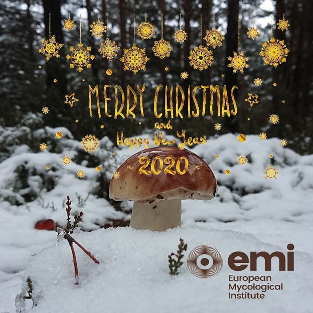 🎄 All members of @Europeanmico we wish you a Merry Christmas and a Happy year 2020! @Ayto_Soria @dipuavila @Biopterre #man150p @ctforestal @patrimonionat @Occitanie @CITAAragon @Chambagri24 #goldentruffle @IDForest @QilexForestal #mycea