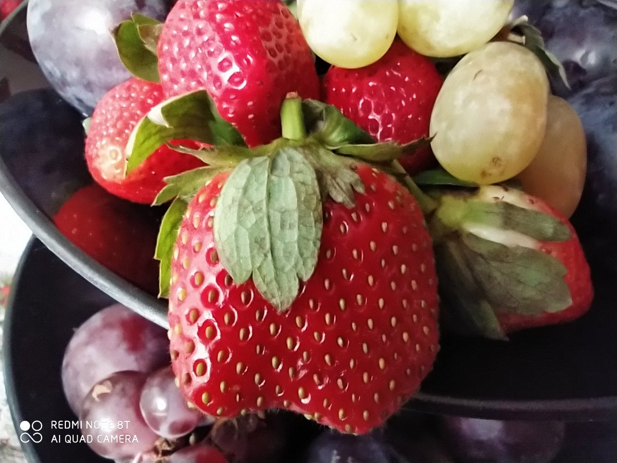 dkisiala's tweet image. Jaka zima takie owoce 😂🎄🎄
Truskawka z #redminote8t 

@Xiaomi_Polska
@TECHNOSenior1
@TechnoSeniorPL