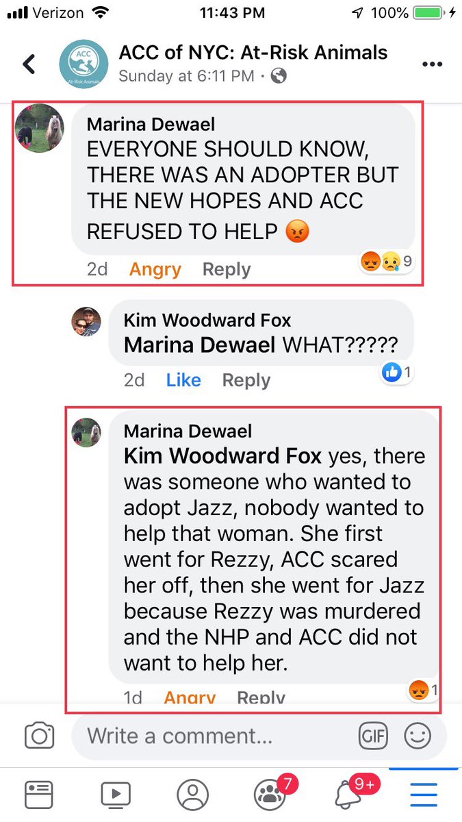 AndyWeprin's tweet photo. @NYCACC JAZZ, @NYCACC’s #SadTale from last week, was killed by NYC’s high-kill pound in spite of the fact that 2 adopters wanted to save him! That fact & JAZZ’s video (below) prove that ACC kills healthy friendly dogs not b/c they have to, but b/c they WANT to!
► https://t.co/ehFV3LtGPP https://t.co/nA3IPrfKEb