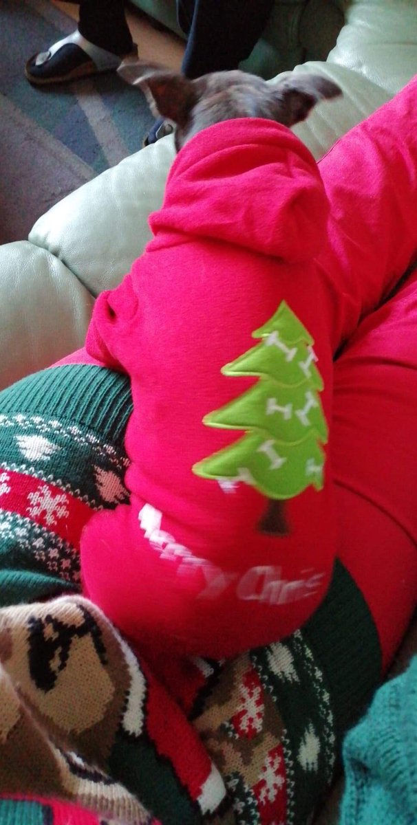 I done alread wit doxmas.#Tommy