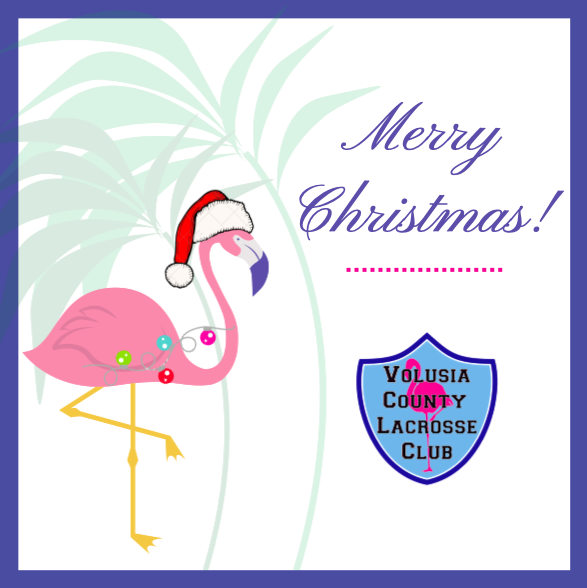 VolusiaCountyLC's tweet photo. Wishing a very Merry Christmas to all of our VCL Family and Friends! https://t.co/xXvFIvnns4