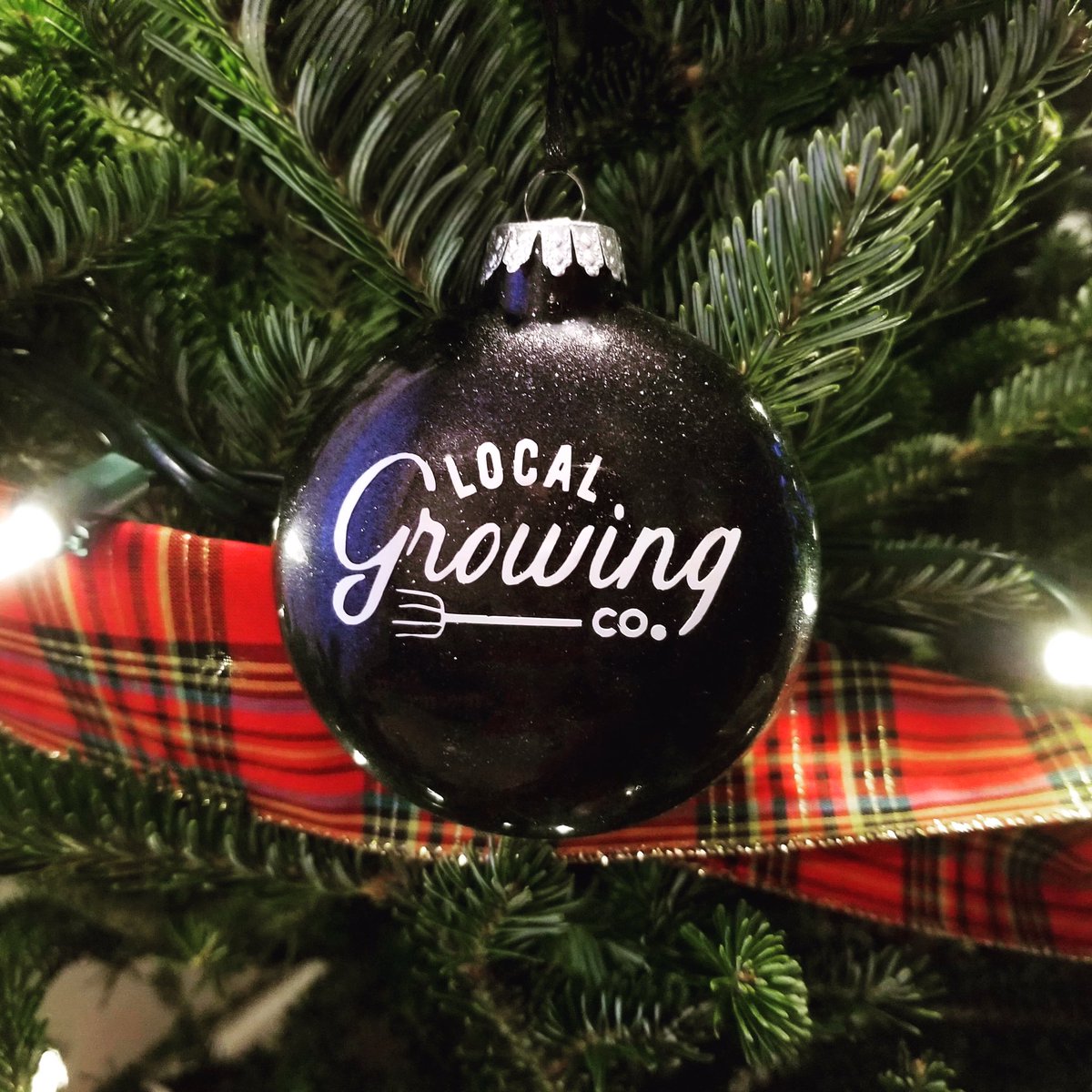 Merry Christmas and Happy Holidays from the Colemans and The Local Growing Company! 🎅🏼