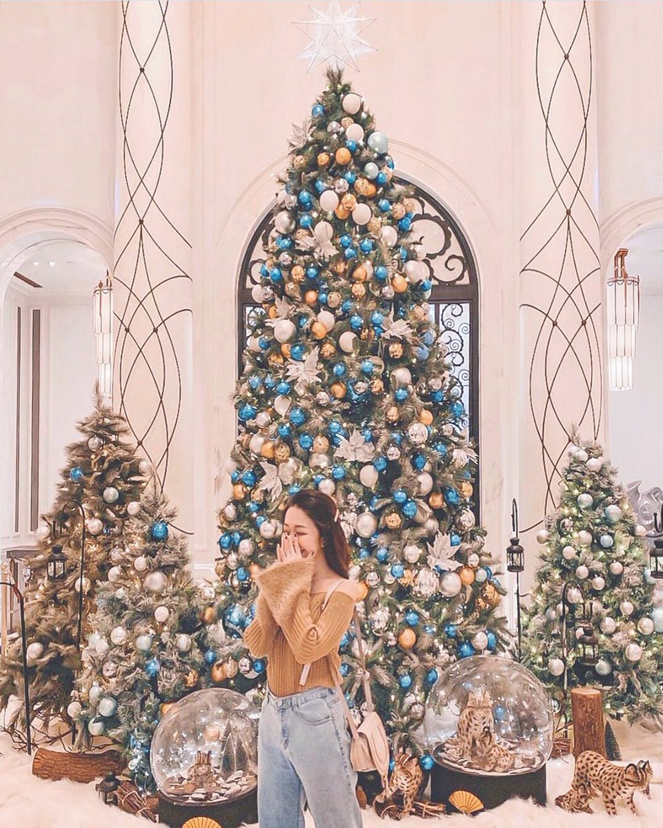 Christmas Magic is in the air! Here’s wishing all our fans #MerryChristmas! 

📷️Photo Credit: chuchuwang 

#ChristmasWithMOTPE #whitechristmas #christmasintaipei #mandarinoriental #ImAfan