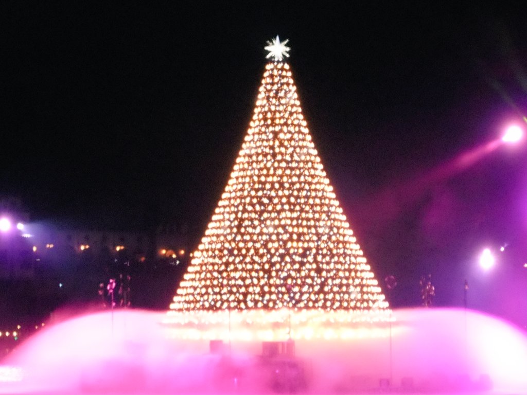 キャンドルライトリフレクションズ