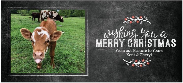 Wishing all our Pasture friends a very Merry Christmas and a Happy New Year! Thanks for being with us on this incredible journey for another year. ❤️ #thislifeinthepasture