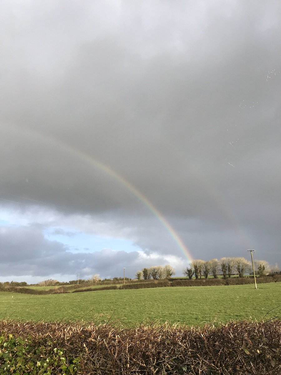 k00198461's tweet photo. #100sonas #rainbow https://t.co/TTXv5Bso2O