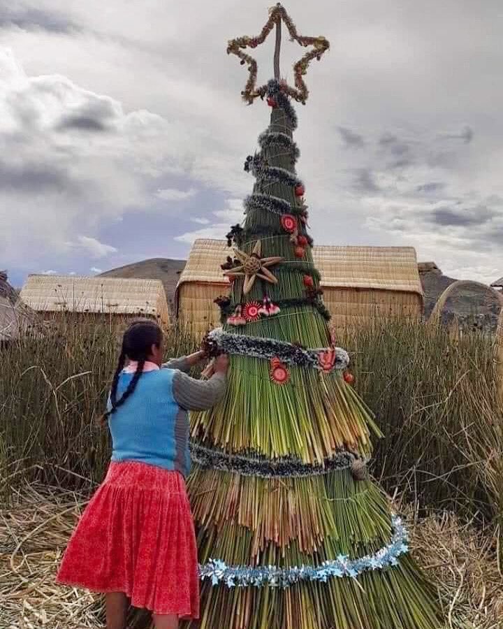 latinopowerla's tweet photo. Feliz Navidad 🎄 
“Que nada nos detenga” https://t.co/mcmqHZfXeG