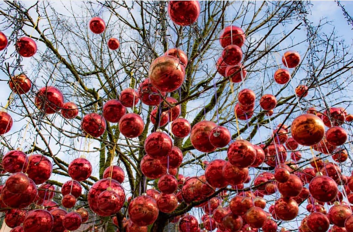 Bamber (@doristhan1) on Twitter photo 