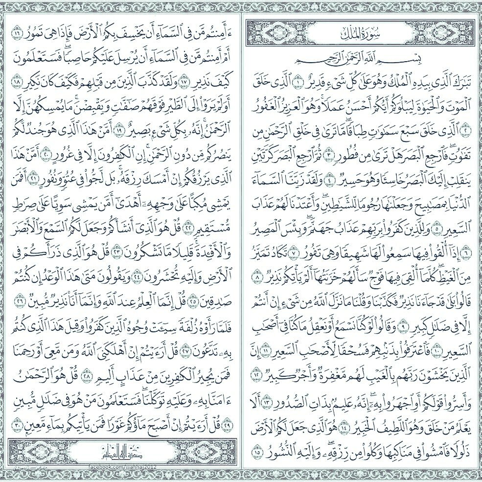 قراءة سورة الملك قبل النوم ♥️🌿.