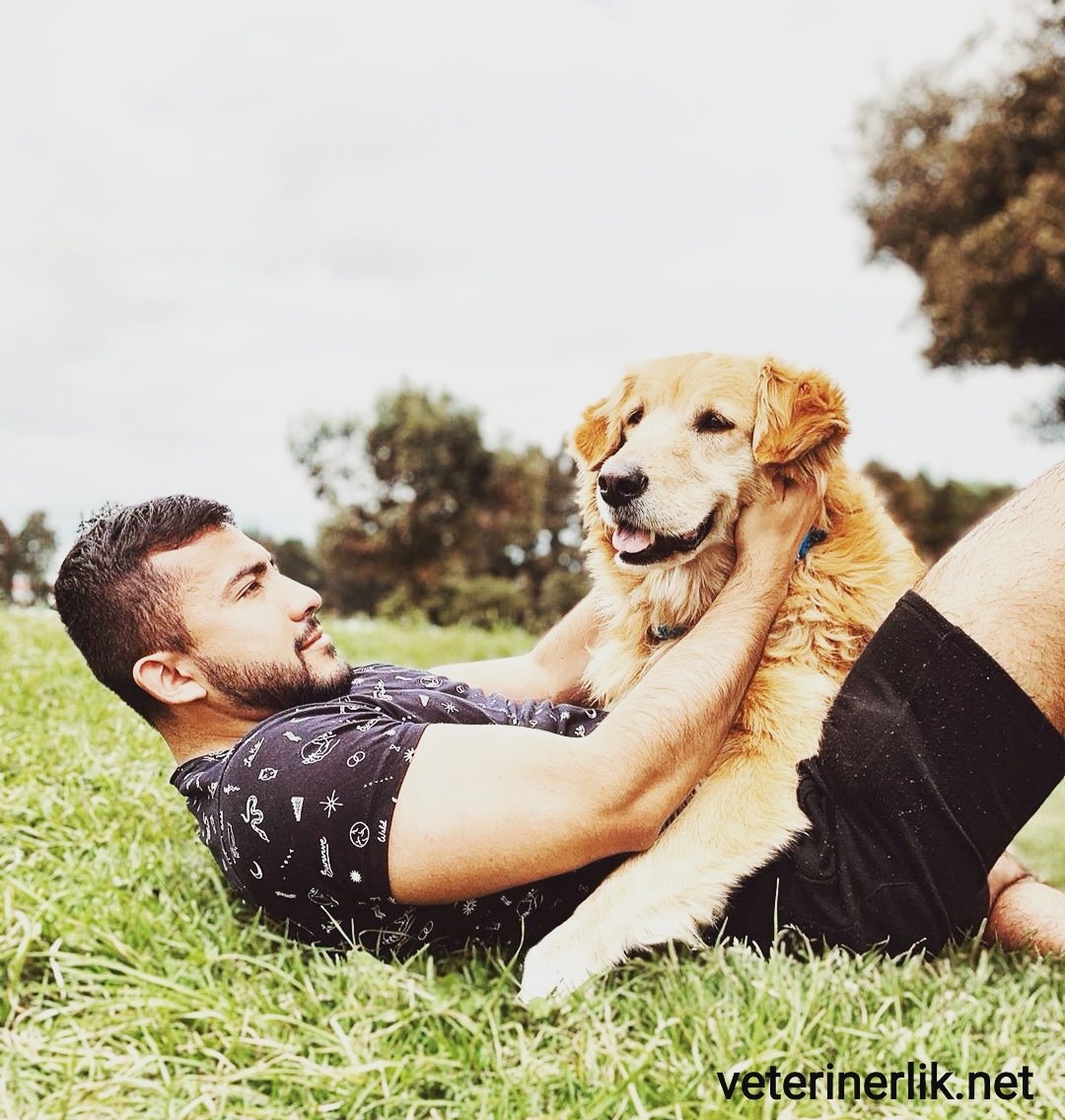 İnsanları tanıdıkça kendimi köpekleri daha çok severken buluyorum. 🐶💕😎

Dostlarınızla ilgili tüm sorularınızı alanında uzman veteriner hekimlerimize ücretsiz sormak için hemen üye olun.

veterinerlik.net

#dog #köpek #hayvan #animal #dost #veteriner  #veterinerliknet