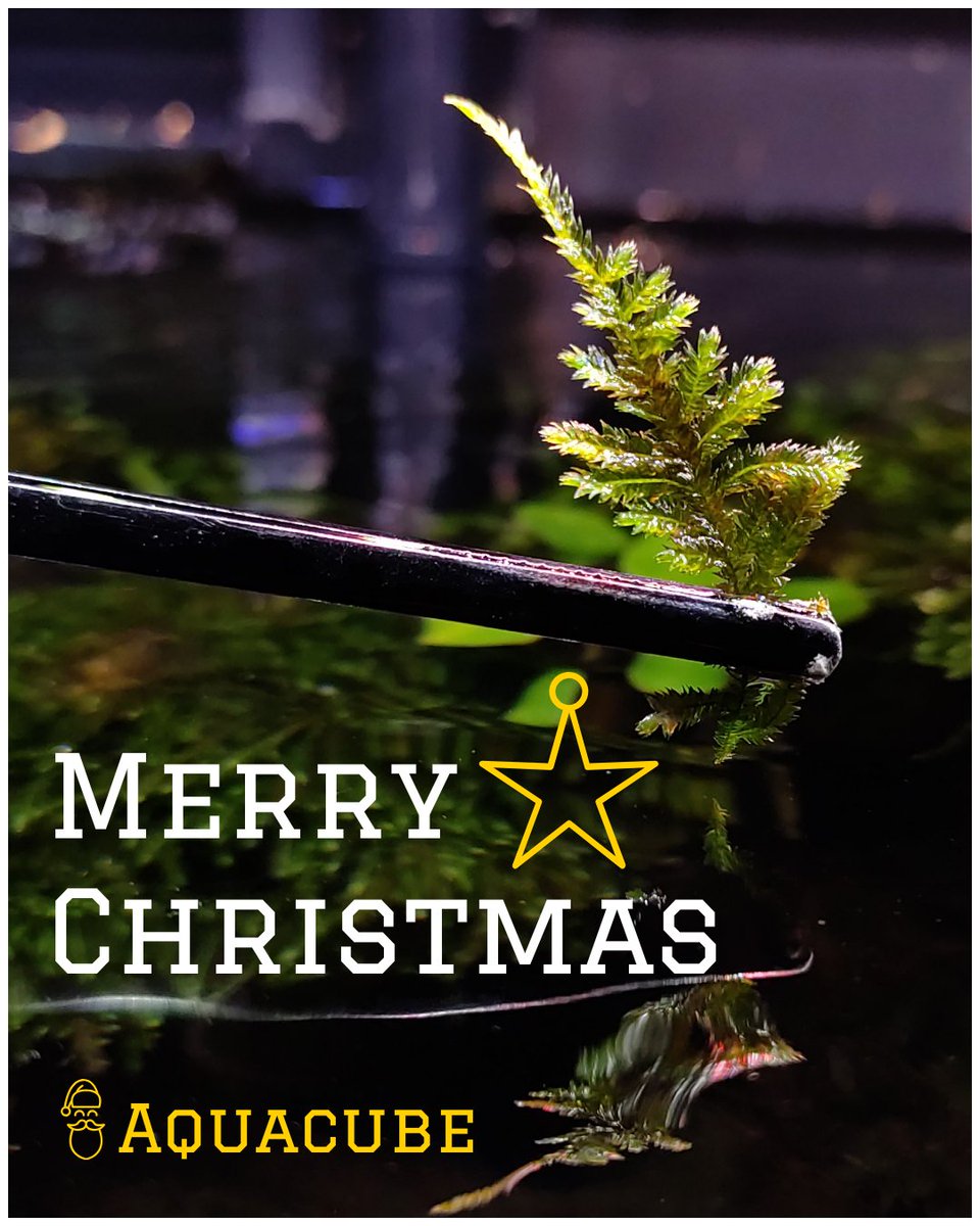 Mossaquascape Hashtag On Twitter