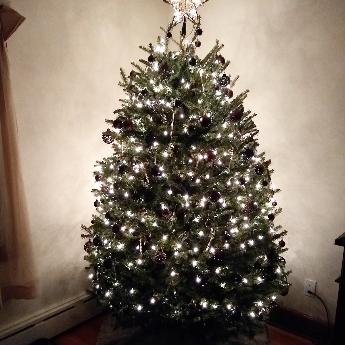 Merry Christmas Everyone