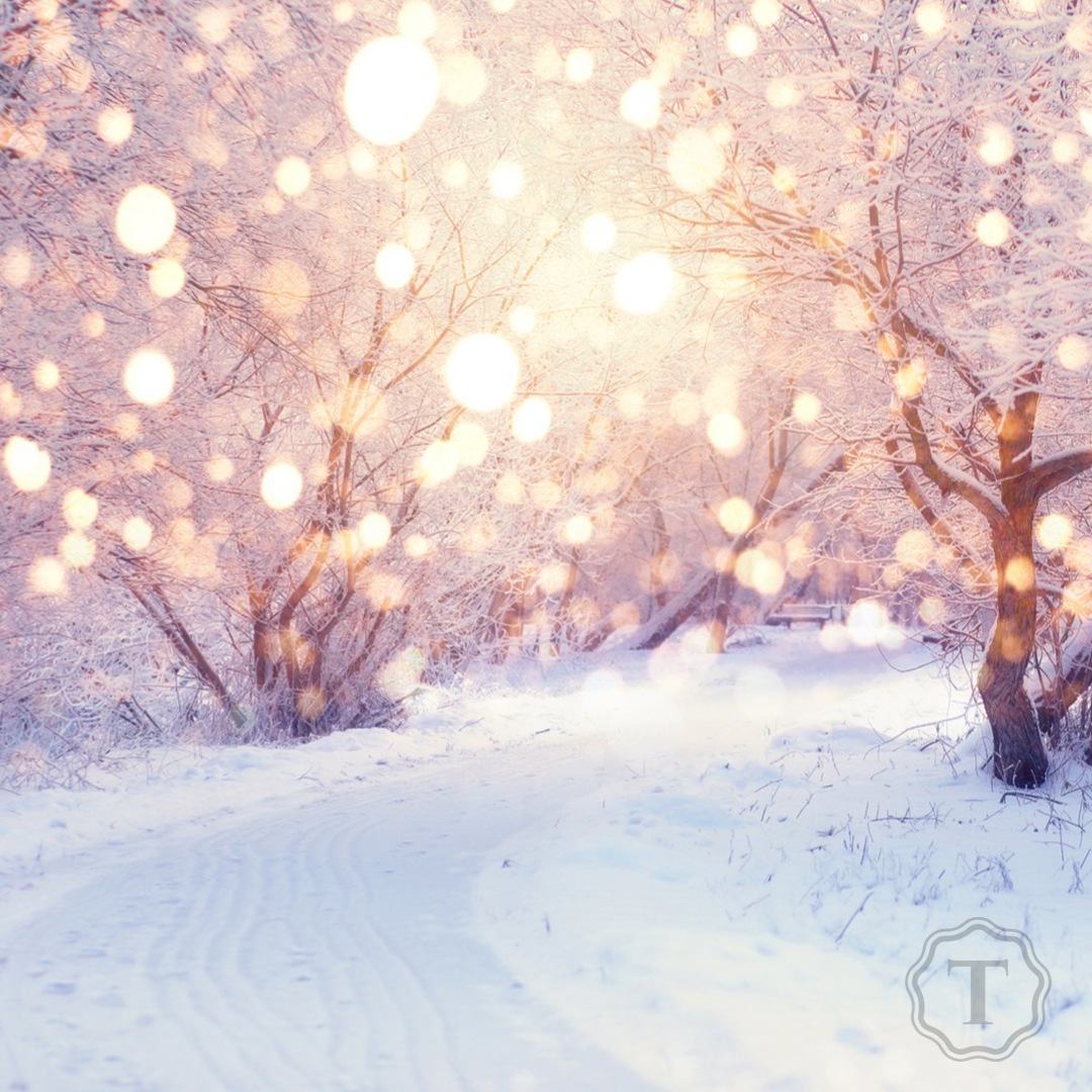 TotumHealth's tweet photo. Have a joyous and Merry Christmas with lots of holiday cheer! https://t.co/y9UM46Lm8Q