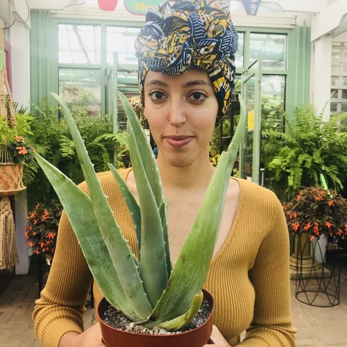 radicaldoula's tweet photo. Radical Doula Profiles: Qiddist Ashe https://t.co/4qWDXiSukL https://t.co/ii2jLNjwDY