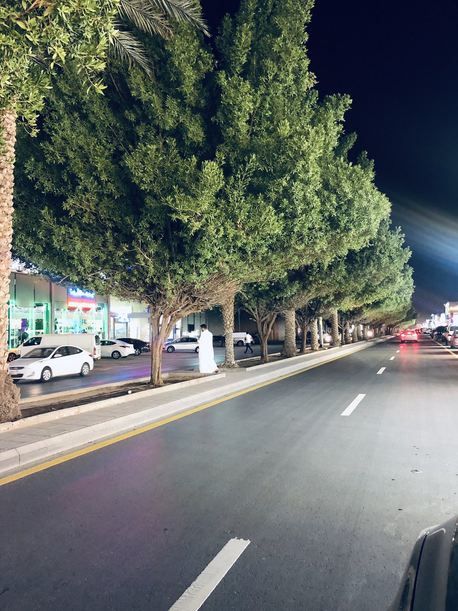 khalid_Saleh99's tweet photo. يا بلدية #الرياض هذي الصورة تم ألتقاطها في احد شوارع مدينة الرياض ( منيبب قايل لكم وين لان عارف انك بتروحون تقصونها و بتحطون نخل بدالها )
شوفو كيف الشارع يفتح النفس https://t.co/trFbbbowfW