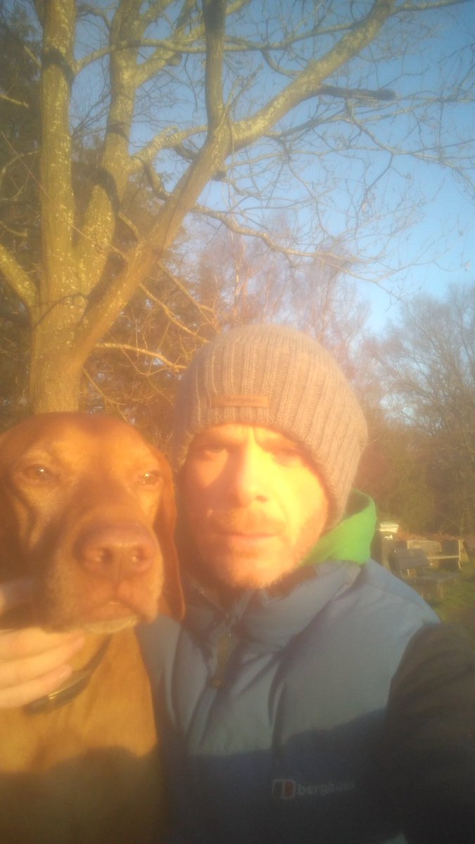 Daveyp1180's tweet photo. Merry Christmas Oscar! Beautiful day! #dogsatchristmas #hungarianvizsla #noturkeyforme #getoutside #trentpark https://t.co/tlLRllleGH