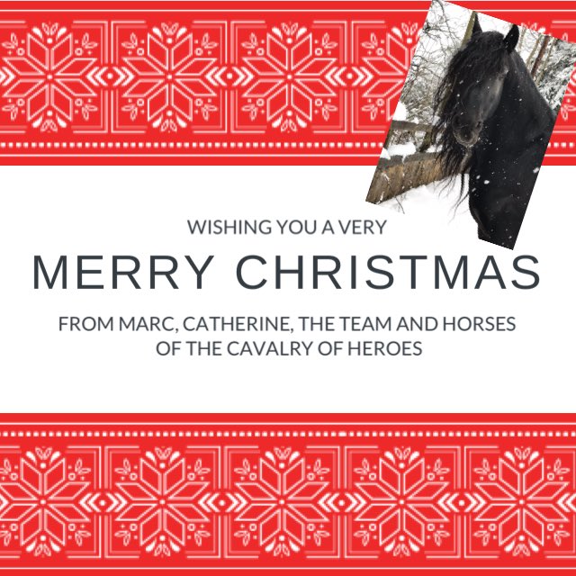 Merry #Christmas! 🎄 From Marc, Catherine, the team and the horses here at The Cavalry of Heroes 😊🐴🌳 Have a wonderful day!