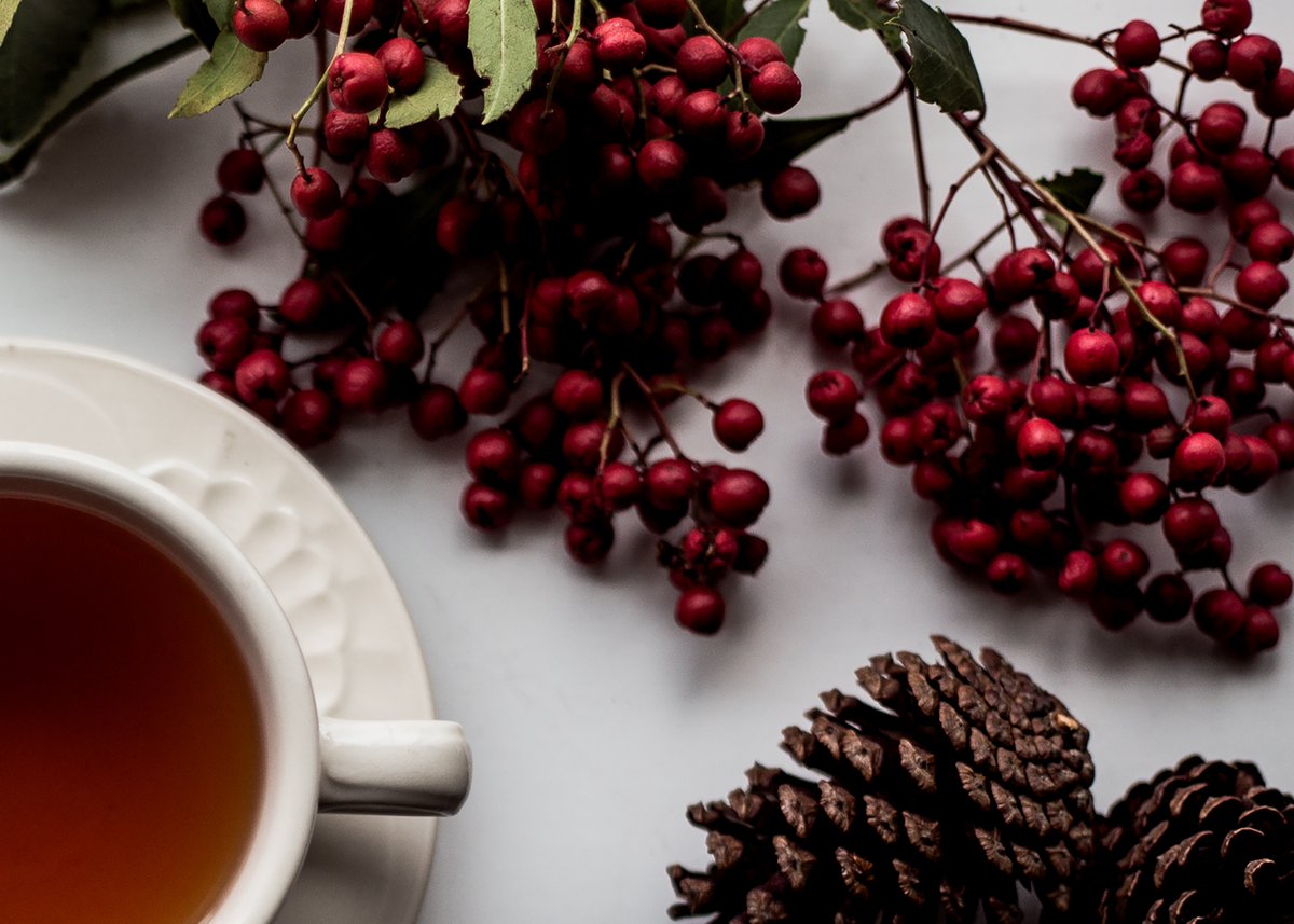 DoorToDormNY's tweet photo. Wishing you a happy holiday, from our family to yours. https://t.co/grGYrgD2rf