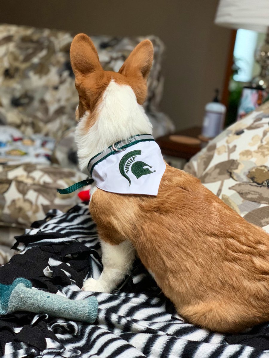  #SpartanDawg 