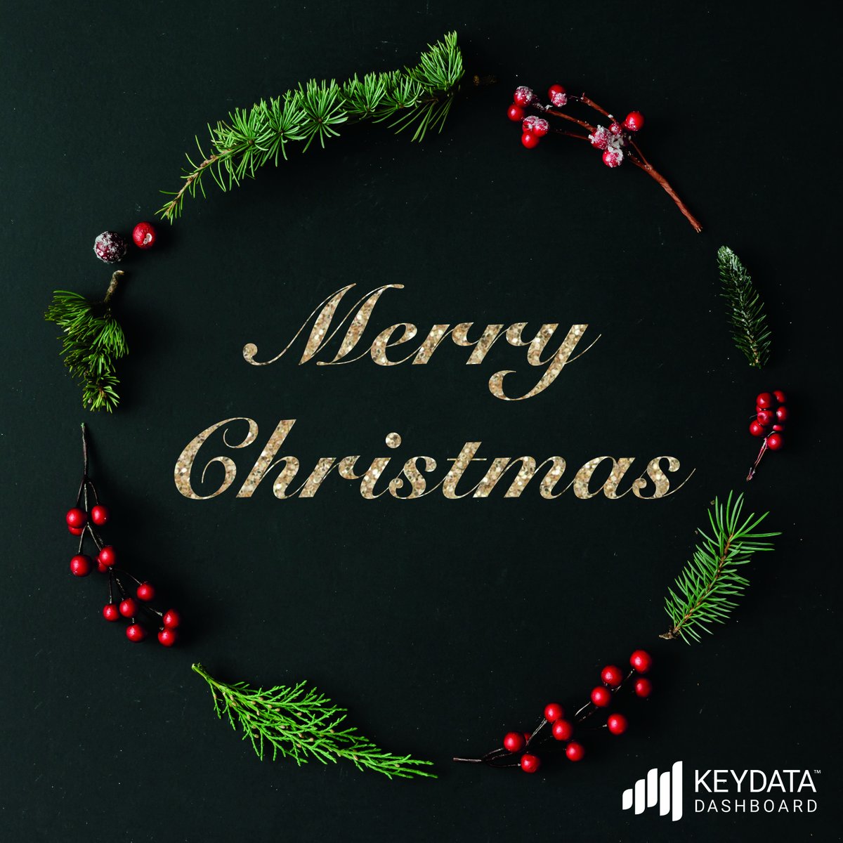 Key_Data_'s tweet photo. Merry Christmas &amp; Happy Holidays from your friends at #KeyDataDashboard. We wish you all the Joys of the season &amp; happiness throughout the coming year! 🎄 https://t.co/S0LF2lx2tm