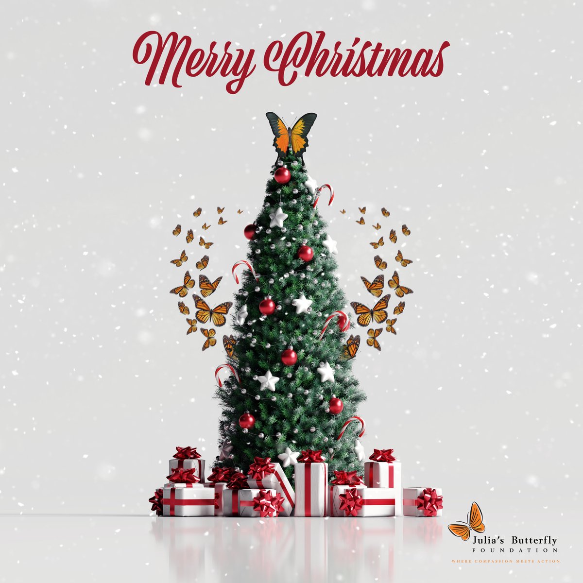JuliaButterfly's tweet photo. Merry Christmas and happy holidays from all of us at Julia's Butterfly Foundation! 🎄 https://t.co/K1fmC6Sqyh