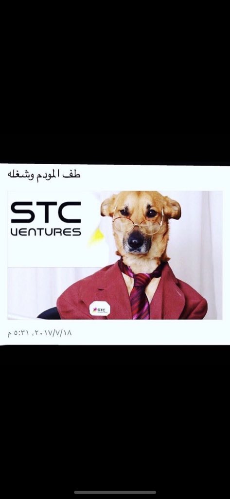 3bade✨ ⚪️ 15🏆 tweet media